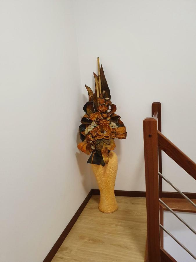 Casa Dos Arcos Διαμέρισμα Αβέιρο Εξωτερικό φωτογραφία